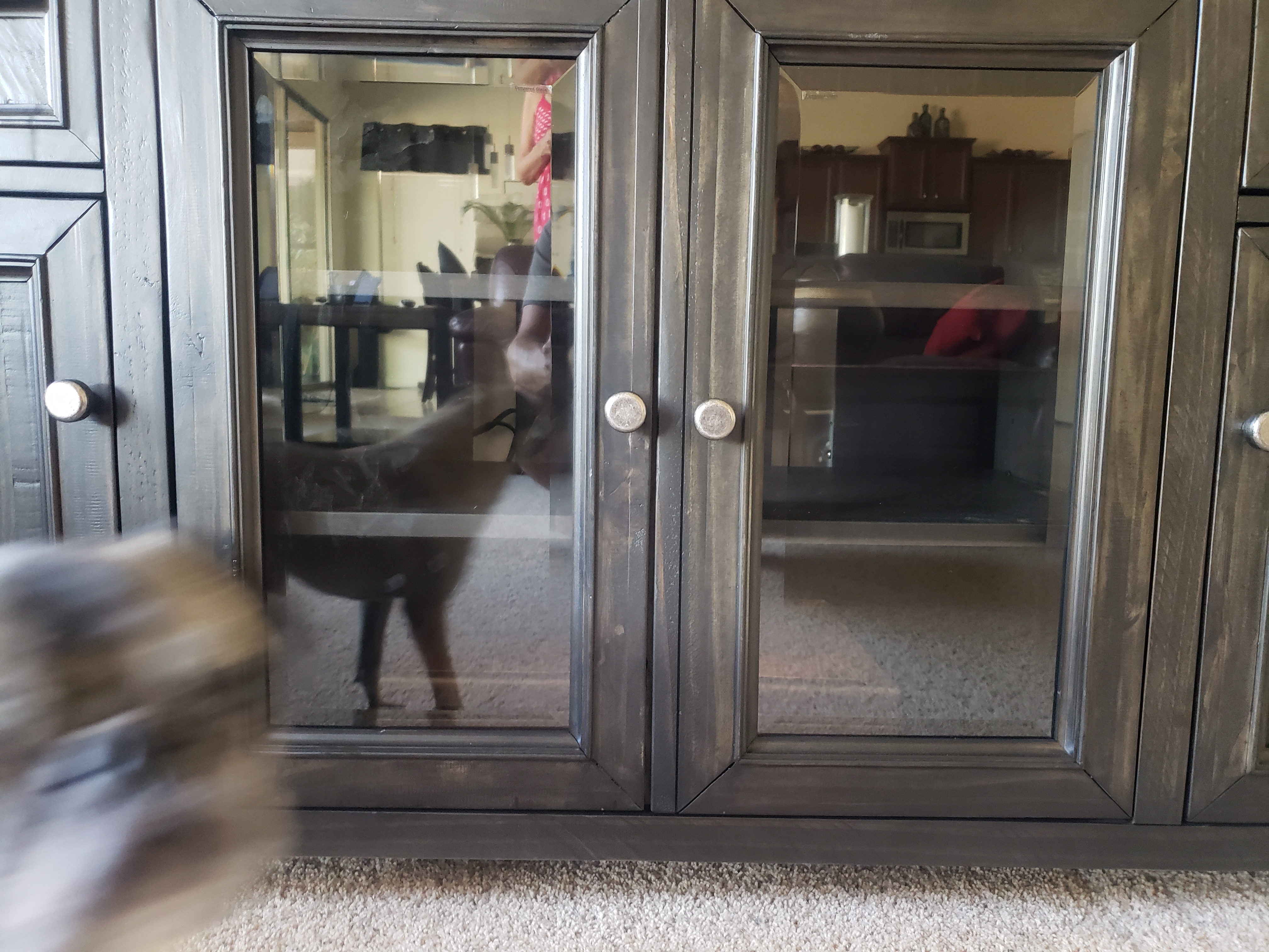 Living Spaces Reviews 8 Reviews of Sitejabber