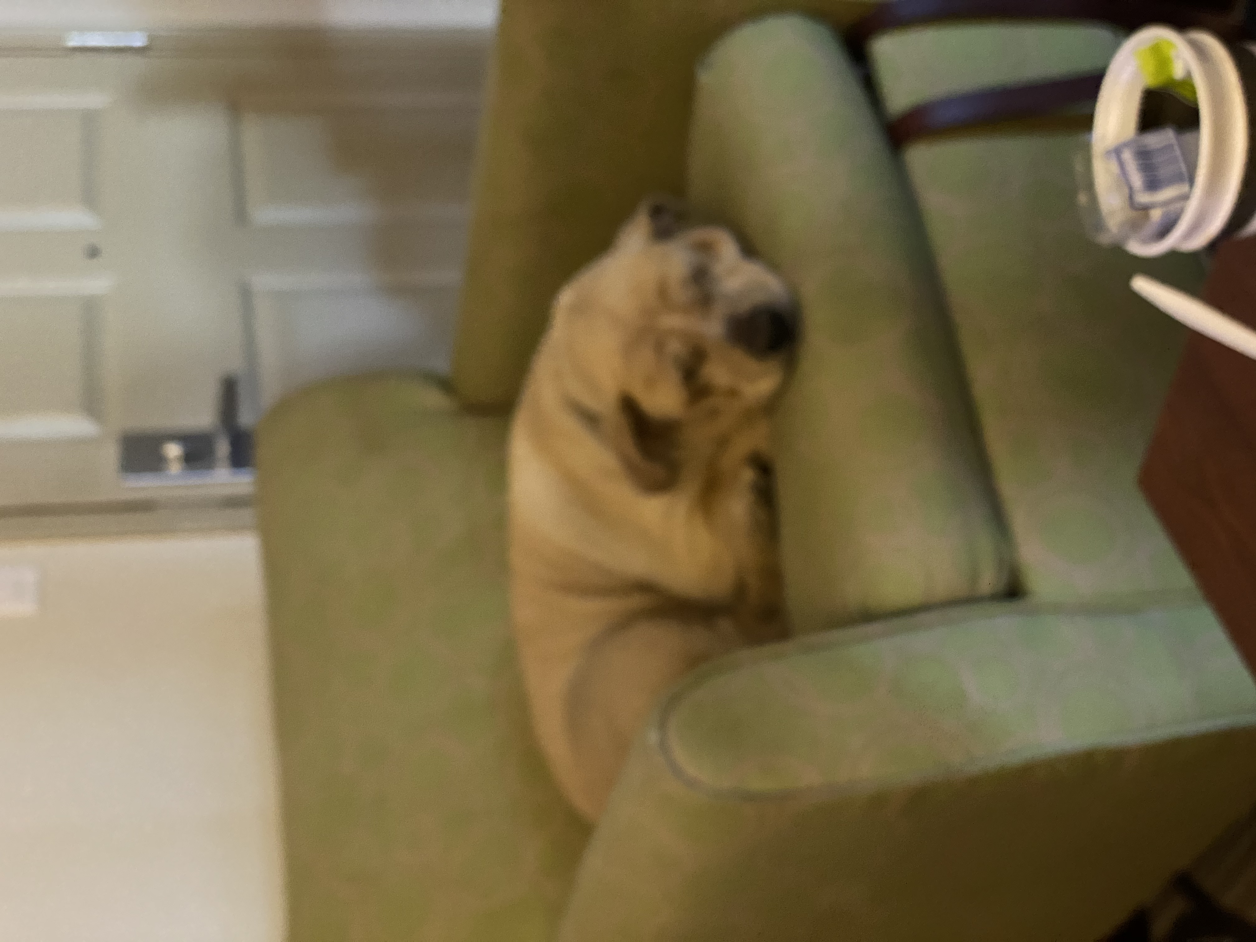 Doordash Reviews 291 Reviews of Sitejabber