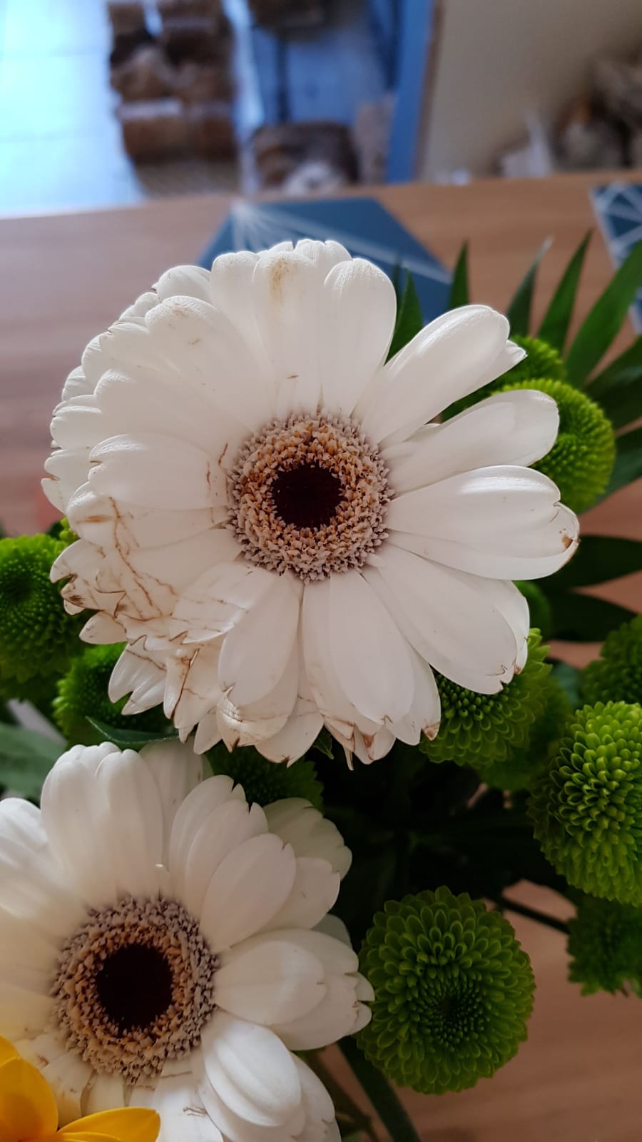 Lovely Flora World Reviews 371 Reviews of