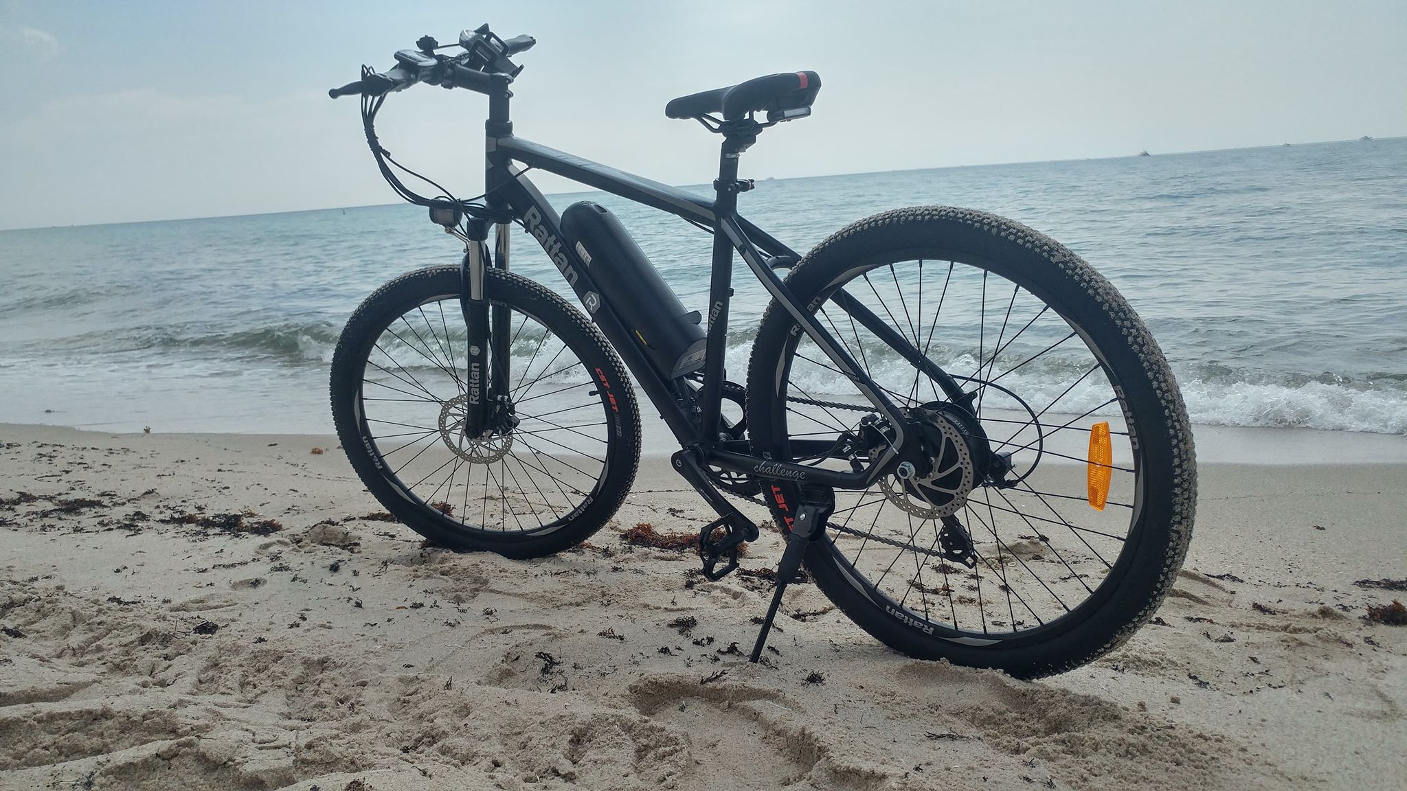 rattan xl ebike for sale