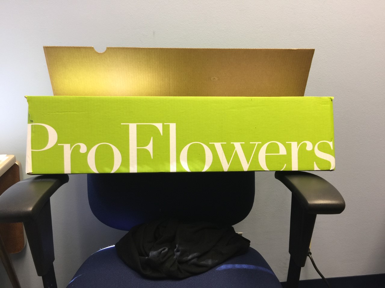 ProFlowers Reviews 399 Reviews of Sitejabber