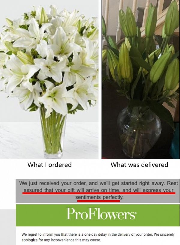 Proflowers Reviews 440 Reviews Of Proflowers Com Sitejabber