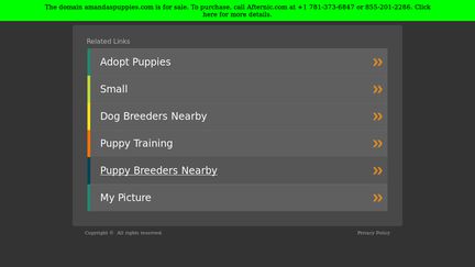Amandaspuppies