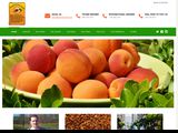 Apricots From God