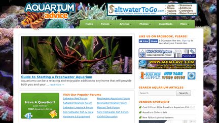 Aquarium Advice