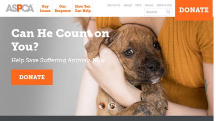 ASPCA.org