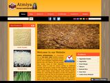 Atmiya International