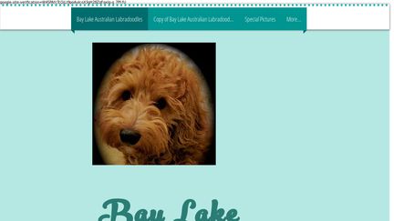 BayLakeDoodles.org