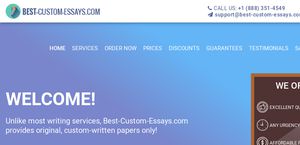 custom essays writing service