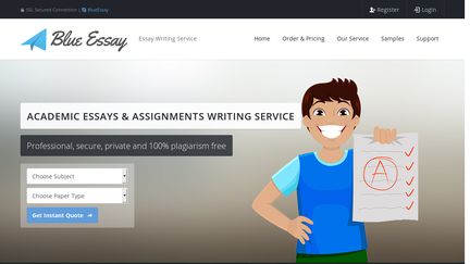 Blue Essay