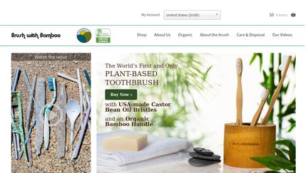 BrushWithBamboo