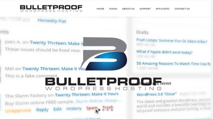 Bulletproof Wordpress Hosting