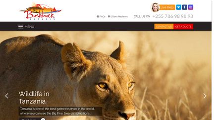 BushbuckLtd