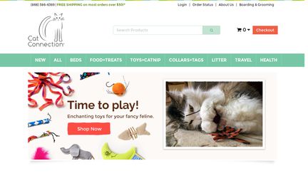 CatConnection