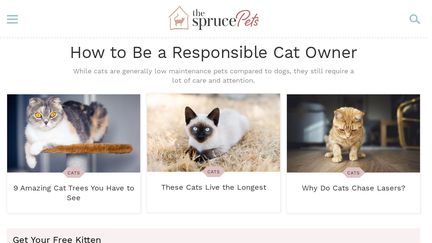 Cats.about