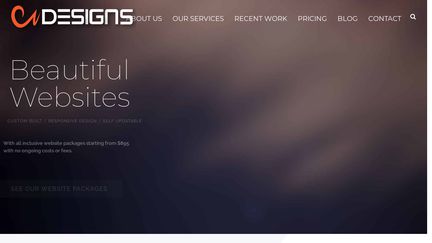Cheap Website Designs