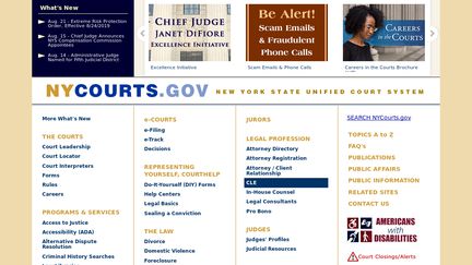 New York Courts