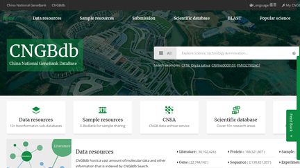 Db.cngb.org