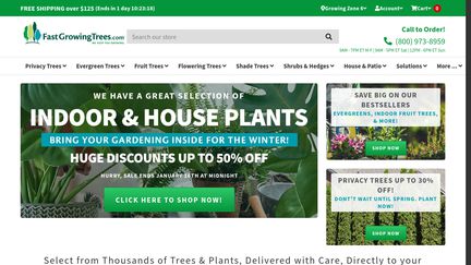 Fast-Growing-Trees