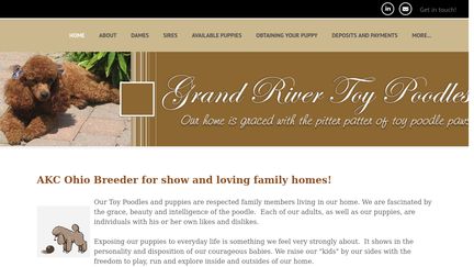 Grand River Poodles