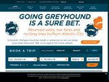 Greyhound