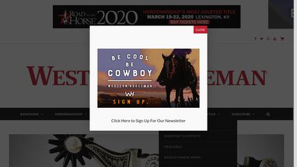 Horsecity.com