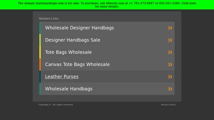 InstaHandBags