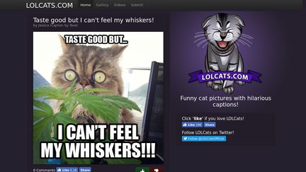 LOLCats.com