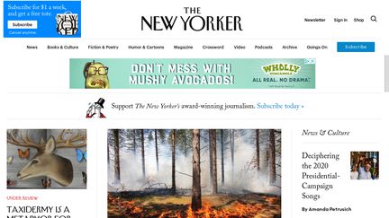 The New Yorker