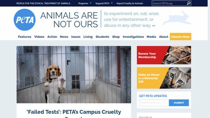 PETA.org