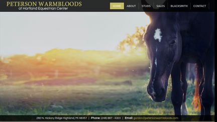 Peterson Warmbloods