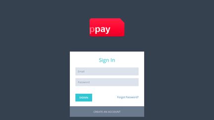 PPay Inc