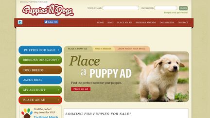 PuppiesNDogs