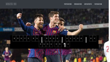 SafeGuardSports