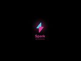 Entrepreneurial Spark