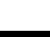 Swankonetworks.com