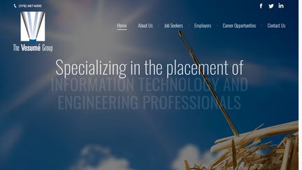 TheVesumeGroup