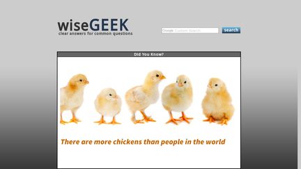 Wisegeek.com