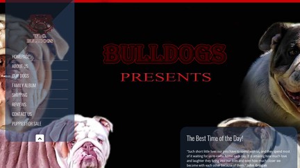 WoEnglishBulldogs